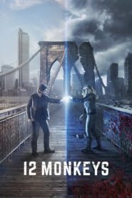 Nonton 12 Monkeys