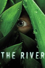 Nonton The River