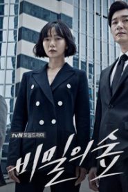 Secret Forest: Season 1