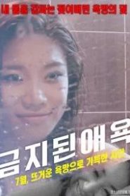 Nonton Forbidden Lust 2017