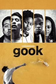 Nonton Gook 2017