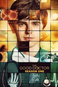 The Good Doctor: Season 1