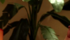 Femme Fatales: 1×12