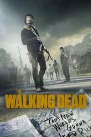 Nonton The Walking Dead