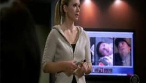 Criminal Minds: 2×17