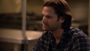 Supernatural: 14×8