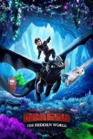 Nonton How to Train Your Dragon: The Hidden World