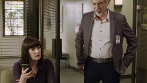 Criminal Minds: 15×9