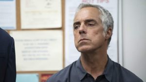 Bosch: 5×1