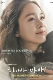 Hi Bye, Mama: Season 1