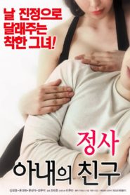 Nonton An Affair: My Wife’s Friend 2018
