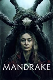 Nonton Mandrake 2022