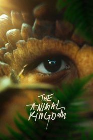 Nonton The Animal Kingdom 2023