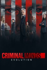 Criminal Minds: Season 17