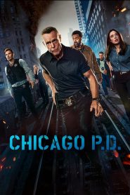 Chicago P.D.: Season 12