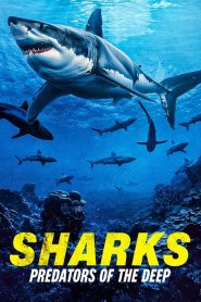 Nonton Sharks: Predators of the Deep 2024