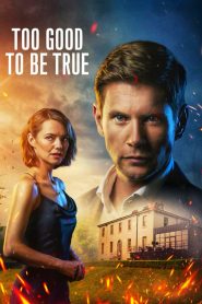 Nonton Too Good to Be True 2024